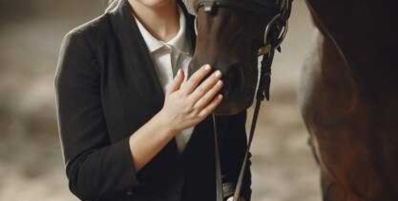 К чему снится лошадь — значение снов для замужних, незамужних и беременных женщин