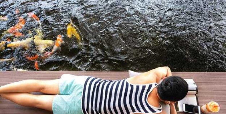 К чему снится озеро — толкование сна о купании в озере по соннику