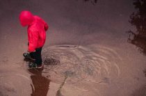 К чему снится падение в лужу — расшифровка сновидений о луже