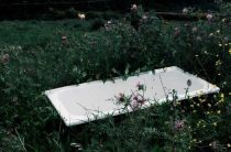 К чему снится порезанный стол — толкование снов по соннику кладбище