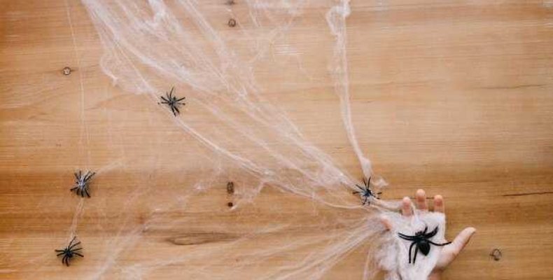 К чему снится разрывать паутину — Толкование сновидений по соннику