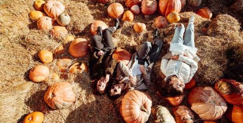 К чему снится сбор урожая лука и его посадка — толкование сновидений