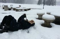 К чему снится снег? Т interpretacions сна о провале в снег