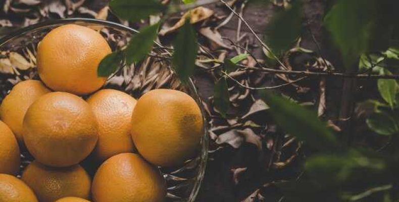 К чему снится срывать мандарины с дерева — толкование и значение сна