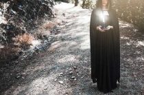 К чему снится трост — подробный сонник и толкование снов о тростнике