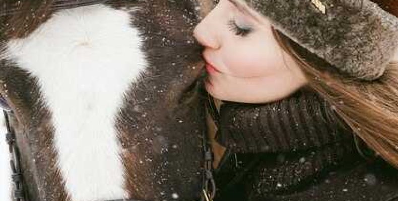 К чему снится залезть на лошадь? Сонник — символика и значение лошадей во сне