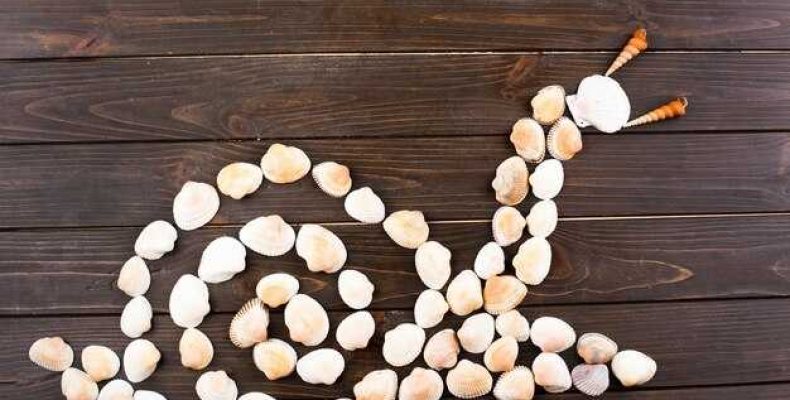 К чему снятся 2 розово-красные гусеницы и множество гусениц — значение и толкование снов