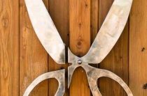 К чему снятся ржавые ножницы? Значение и толкование снов о ножницах