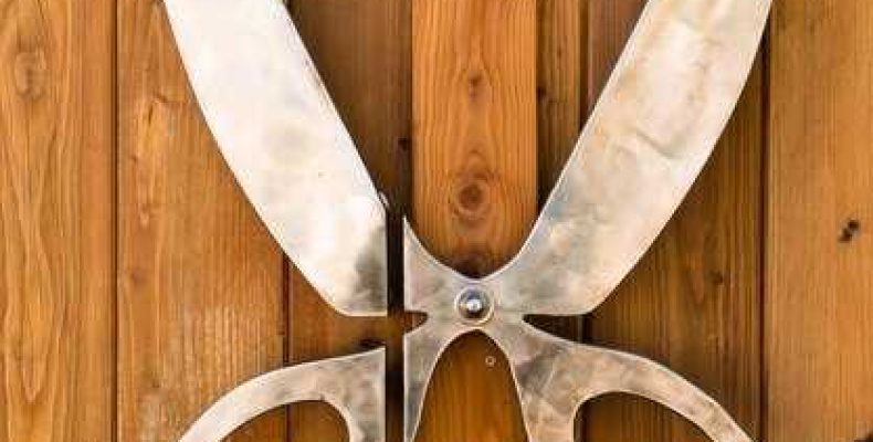 К чему снятся ржавые ножницы? Значение и толкование снов о ножницах