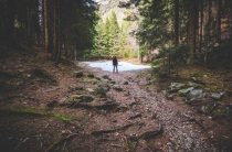 К чему снятся тропинки в лесу — толкование сна и значений в сонниках