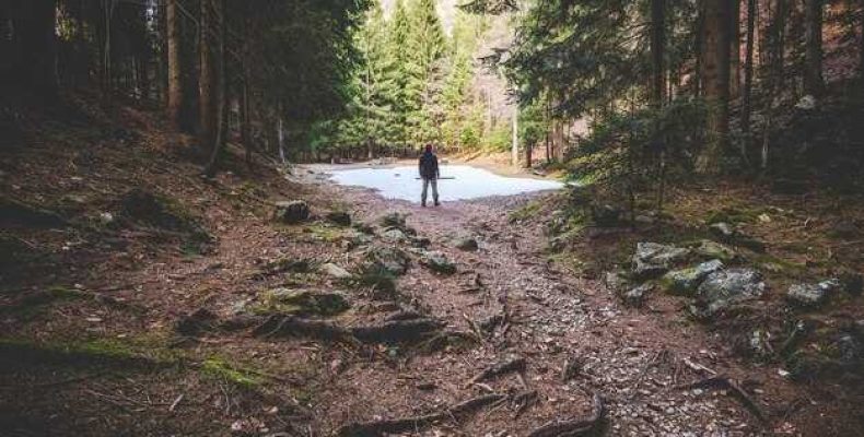 К чему снятся тропинки в лесу — толкование сна и значений в сонниках