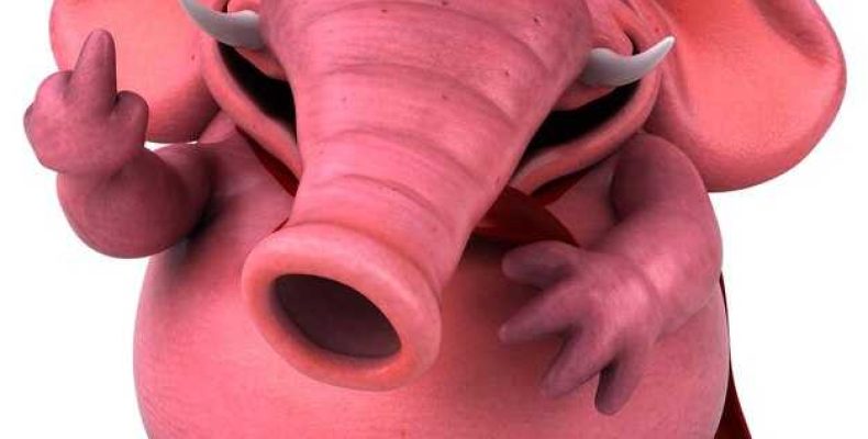 Как называется мультик про мамонтенка