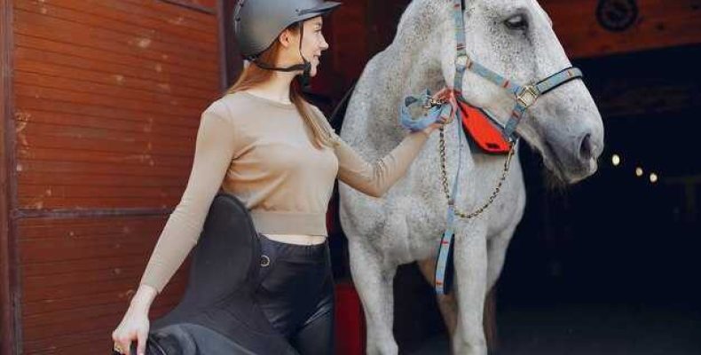 Как оседлать лошадь — пошаговое руководство по одеванию седла и необходимым аксессуарам