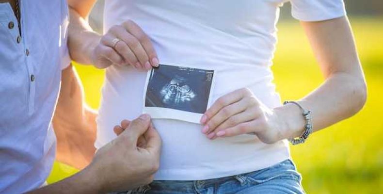 Как выглядит 6 недель беременности эмбрион