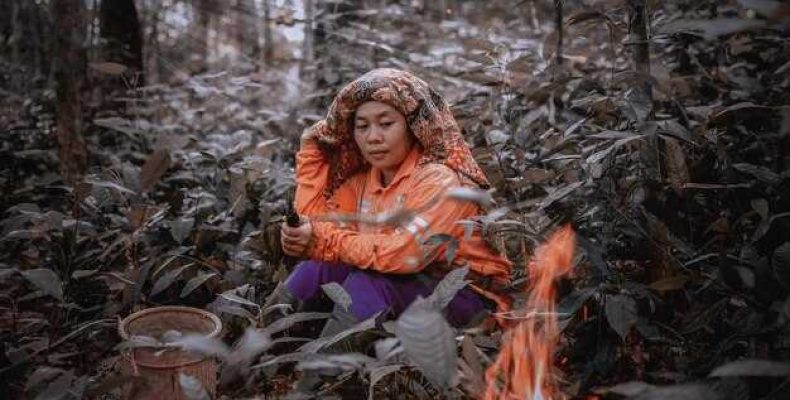 Как задобрить домового — опыт хозяев разных стран и обряды обращения к духу леса