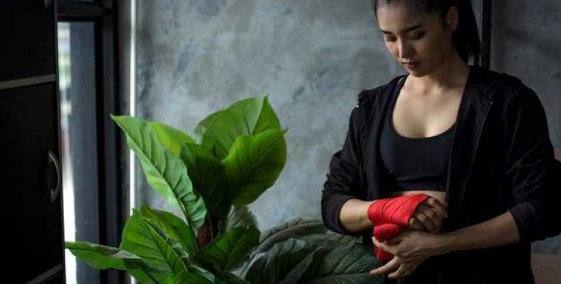 Как защитить комнатные цветы от порчи и вернуть им здоровье — лучшие методы лечения