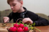 Какие игры есть подвижные