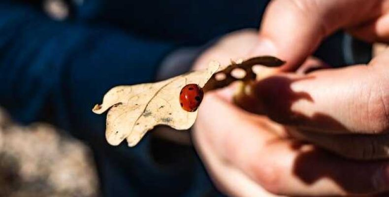 Красная нит на запястье — мощный оберег древних славян и его значение