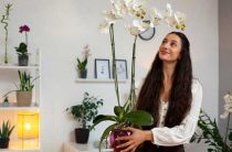 Лучшие комнатные цветы для мужчин-Стрельцов — растения, которые принесут удачу