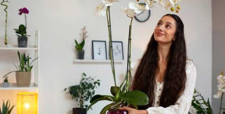 Лучшие комнатные цветы для мужчин-Стрельцов — растения, которые принесут удачу