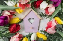 Магические свойства пиона — символ любви и богатства для вашего дома