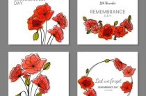 Мак в петлице — значение красного мака как символа Дня памяти