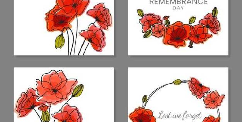 Мак в петлице — значение красного мака как символа Дня памяти