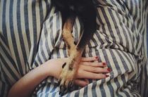 Можно ли забеременеть от собаки? Мифы и реальность