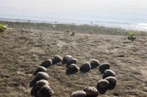 Одиночный остров на линии сердца — как определить возраст по линии сердца