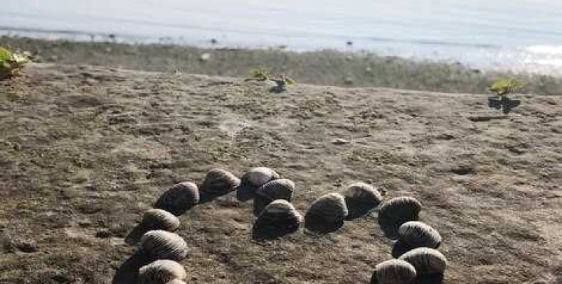 Одиночный остров на линии сердца — как определить возраст по линии сердца