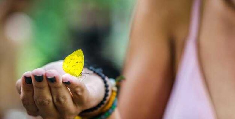 Официальная религия в Бразилии — Понимание религиозного разнообразия через призму Бразилиады