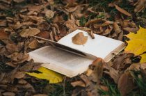 Какие имена славянского происхождения мы потеряли и почему они вернулись