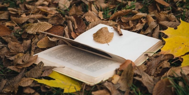 Какие имена славянского происхождения мы потеряли и почему они вернулись