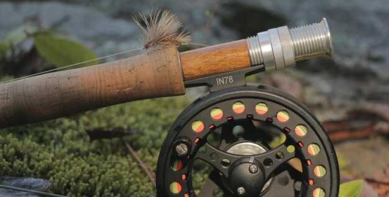 Оружие древних богов — индийское метательное оружие Чакра и его значение