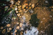 Пастафарианство — молитва к макаронному богу и влияние пиратов на климат