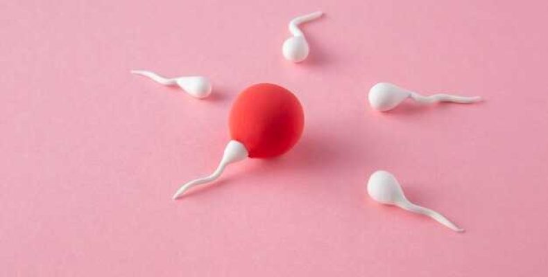 Плодное яйцо 8 мм какой срок беременности