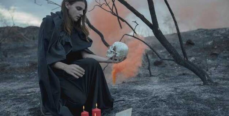 Почему осиновый кол убивает вампиров — Тайны осиновых колов