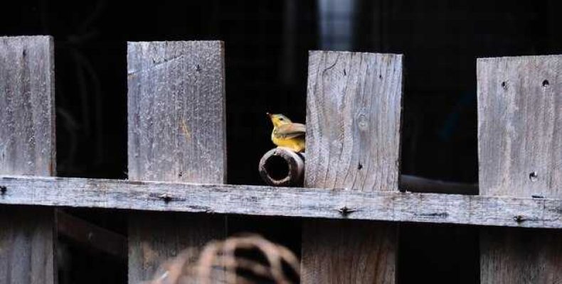 Почему падает икона в доме — приметы и их значение