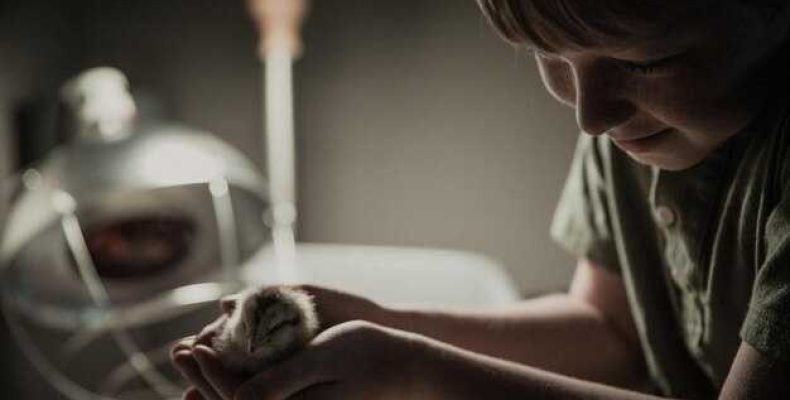 Портится ли омовение при прикосновении к тёще? Нарушение малого омовения