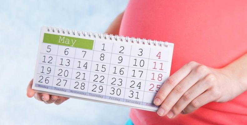 Секретная лазейка в ТК: как основной отпуск перед декретом подарит тебе лишний месяц свободы