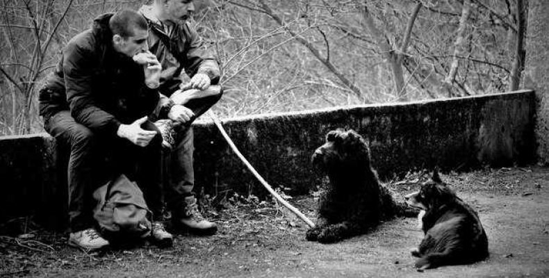 Проводники душ — Как собаки становятся проводниками в загробный мир перед смертью