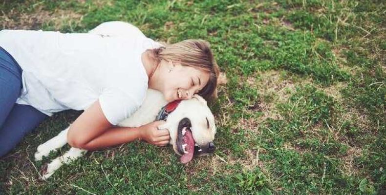 Ребенок упал с горки головой на землю что делать