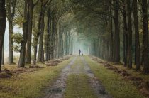 Олесь: мужское имя и его происхождение — тайна, которую скрывают леса и древние воины