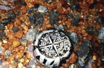 Руническая формула на смерть — Шем — странная руна и её связь с порчей