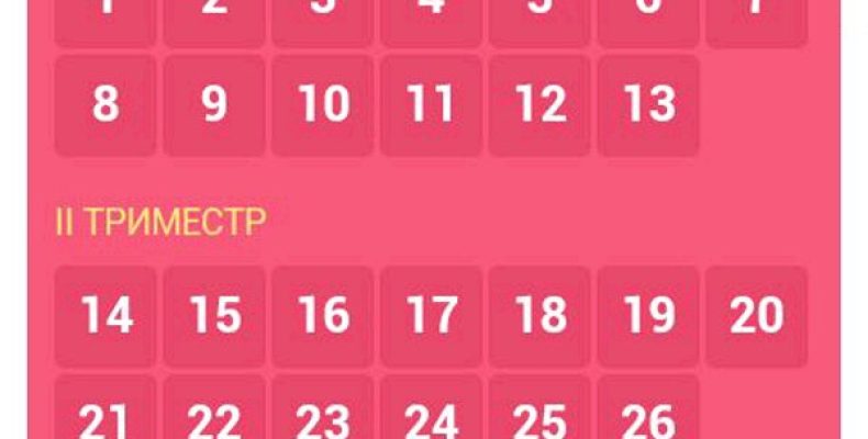 Во сколько недель уходят в декрет по беременности: разбираемся в путанице и сроках