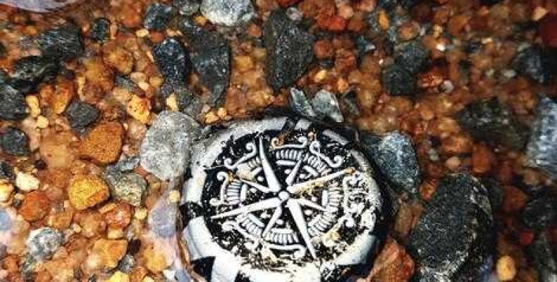 Сильный рунический отворот — как правильно использовать руны для защиты и привлечения энергии