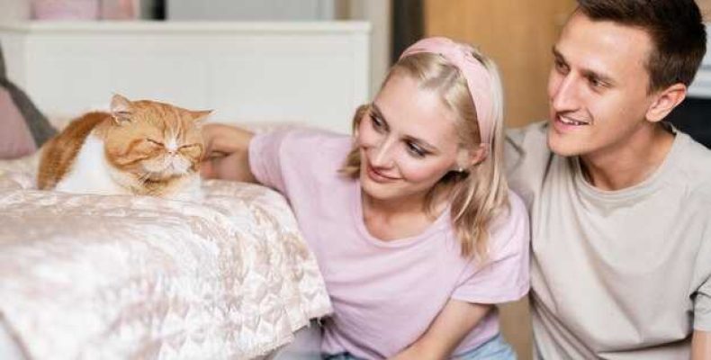 Сильный заговор против душегубов — Как наказать соседей, убивающих котов