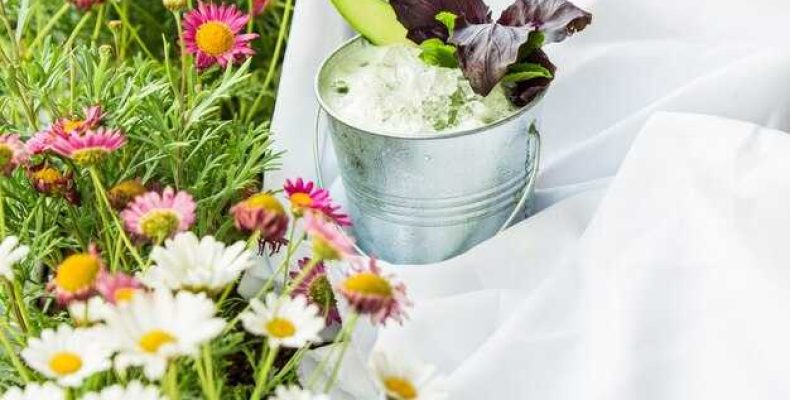 Сны о клумбе с красивыми цветами — значение и толкование