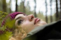 Сонник — что означает сон о лазании по деревьям — толкование и значение сновидения