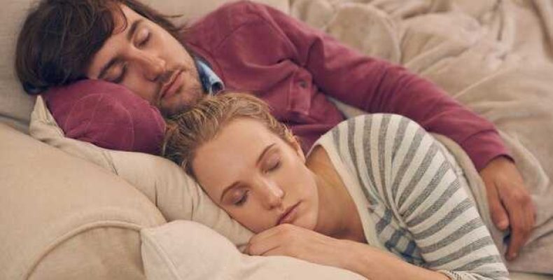 Сонник — к чему снится ежевика — толкование значений сна для мужчин и женщин